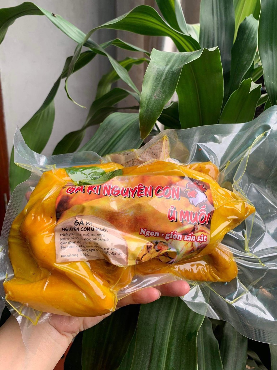 Gà ri ủ muối nguyên con